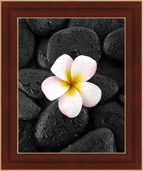 Картина в раме - СПА