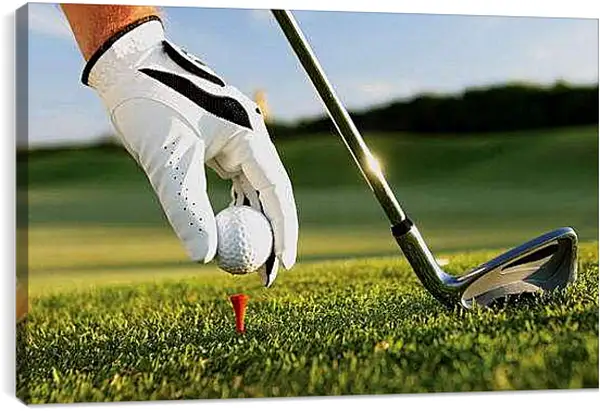 Постер на подрамнике - Клюшка для гольфа