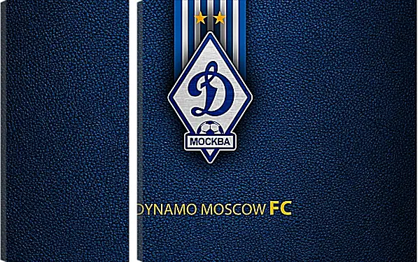 Модульная картина - Эмблема ФК Динамо Москва