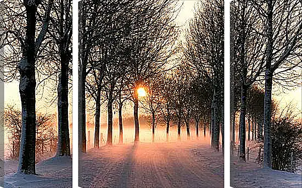 Модульная картина - Зима