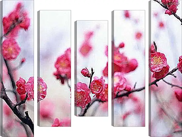 Модульная картина - Цветущая сакура