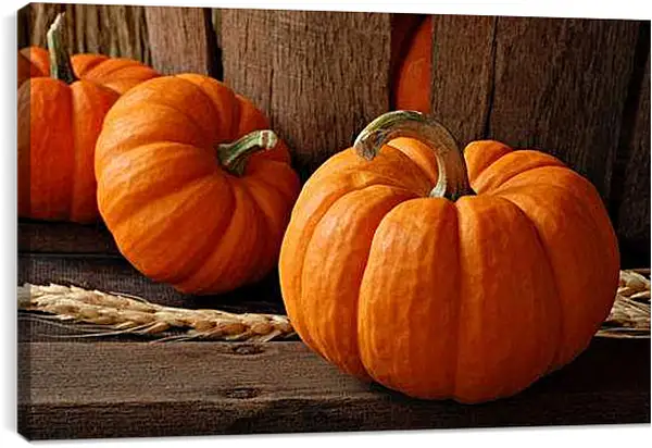 Постер на подрамнике - Тыквы и колоски. Осенний Натюрморт.