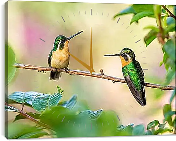 Часы картина - Колибри