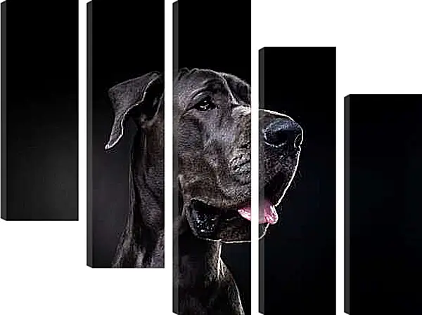 Модульная картина - Дог