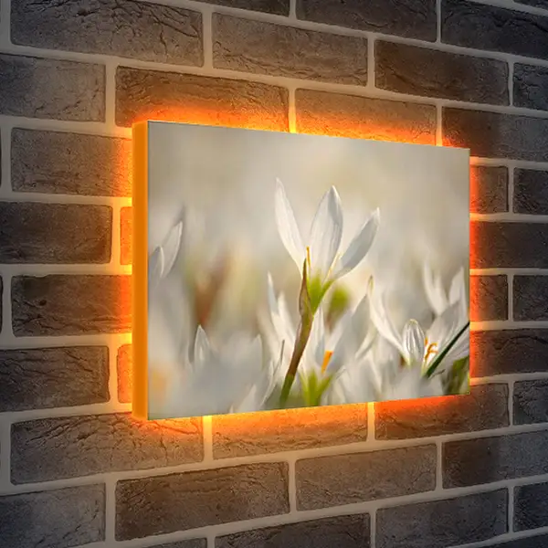 Лайтбокс световая панель - Весна