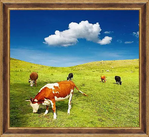 Картина в раме - Коровы на поле
