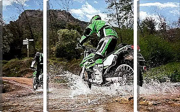 Модульная картина - Спорт