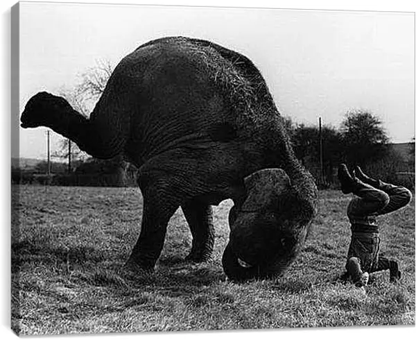 Постер на подрамнике - Ретро
