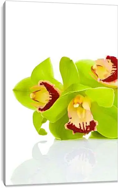 Постер на подрамнике - Зеленые цветы