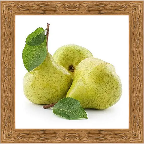 Картина в раме - Зеленые груши. Сочные Груши.