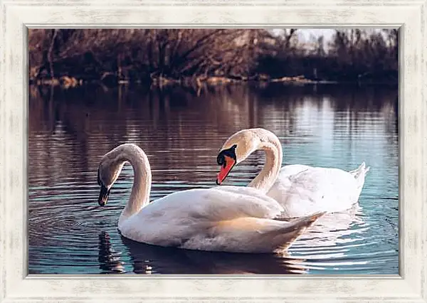 Картина в раме - Два лебедя