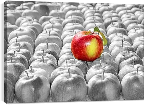 Постер на подрамнике - Яблоко