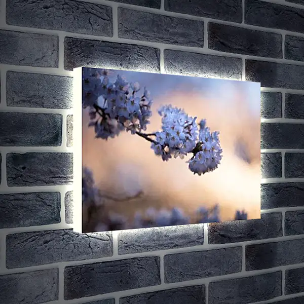 Лайтбокс световая панель - В вечернем свете