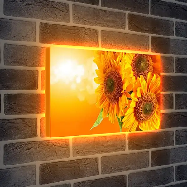 Лайтбокс световая панель - Подсолнухи