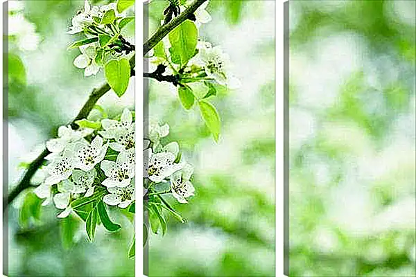 Модульная картина - Деревья в цвету