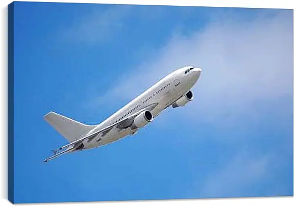 Постер на подрамнике - Взлет