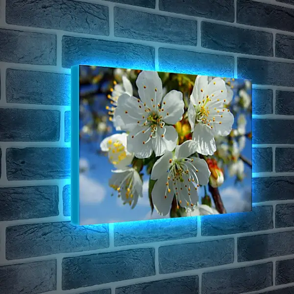 Лайтбокс световая панель - Весна