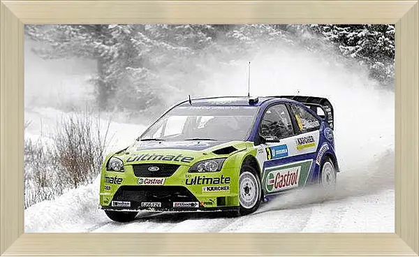 Картина в раме - Спорт