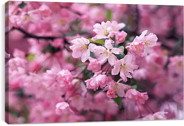 Постер на подрамнике - Весна