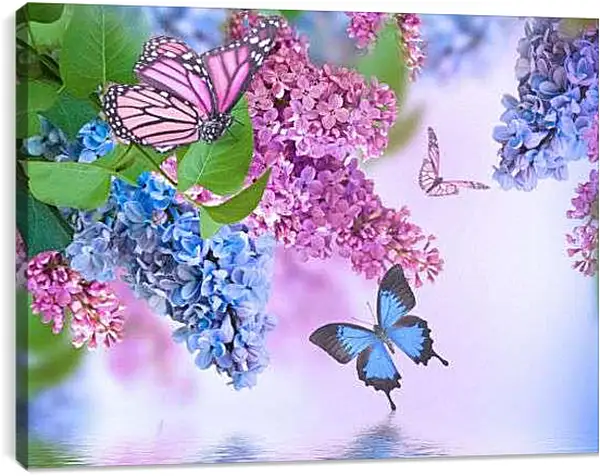 Постер на подрамнике - Сирень и бабочки