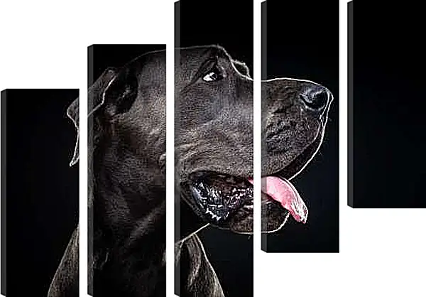 Модульная картина - Дог