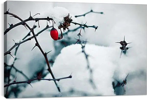 Постер на подрамнике - Зима