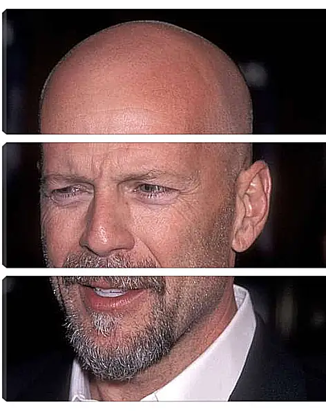 Модульная картина - Брюс Уиллис. Bruce Willis