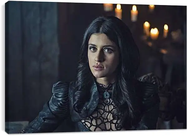 Постер на подрамнике - Ведьмак. The Witcher