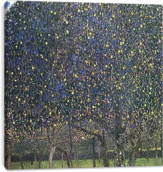 Постер на подрамнике - Birnbaum. Густав Климт