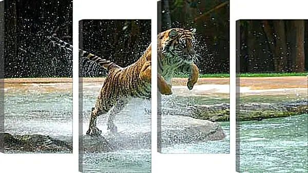 Модульная картина - Коричневый тигр. Вода. Животные