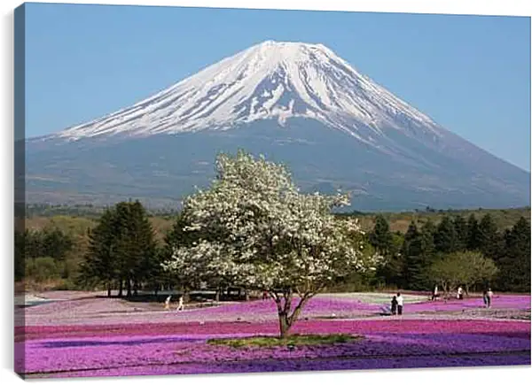 Постер на подрамнике - Гора Фудзияма 3. Япония