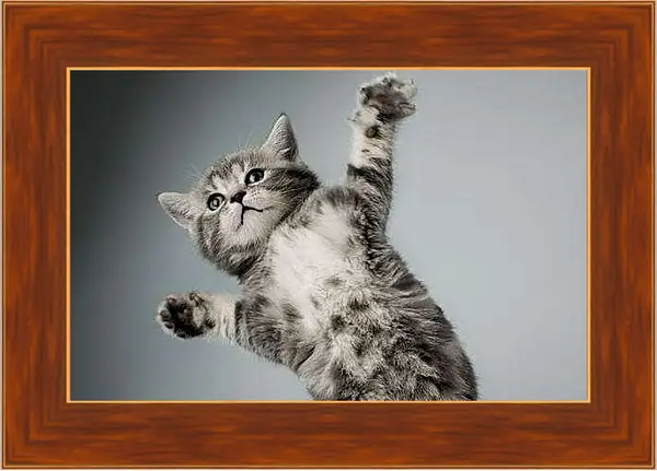 Картина в раме - Котенок