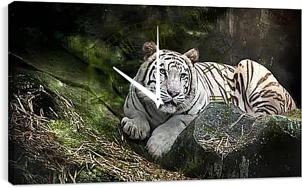Часы картина - Белый тигр. Животные. Природа