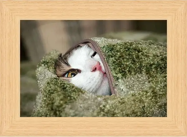 Картина в раме - Портрет кошки на зеленом фоне