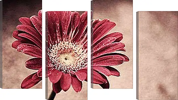 Модульная картина - Гербера