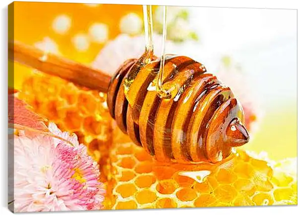 Постер на подрамнике - Мед и цветок. Сладкое утро.