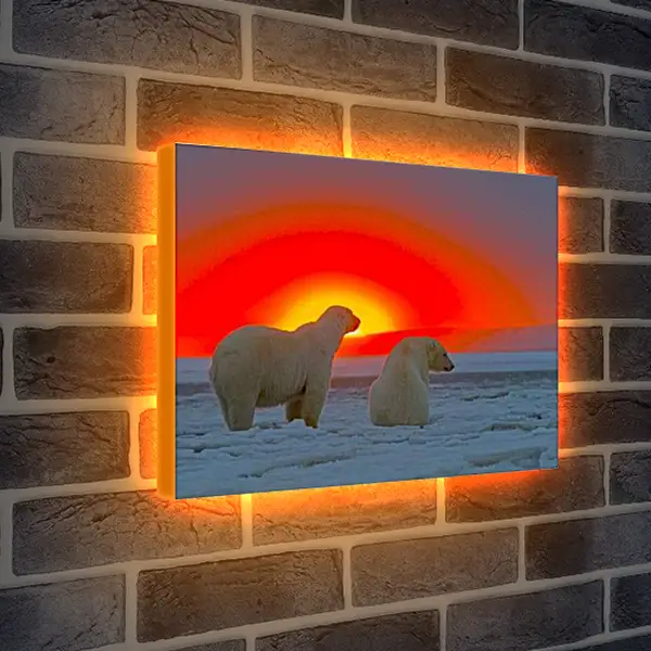 Лайтбокс световая панель - Белые медведи