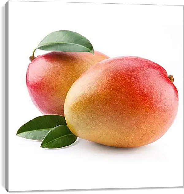 Постер на подрамнике - Манго. Солнечные Манго.