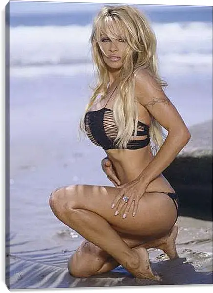Постер на подрамнике - Pamela Anderson - Памела Андерсон
