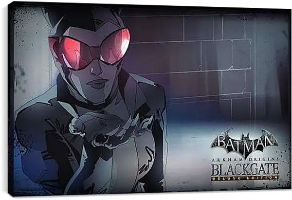 Постер на подрамнике - Batman: Arkham Origins Blackgate