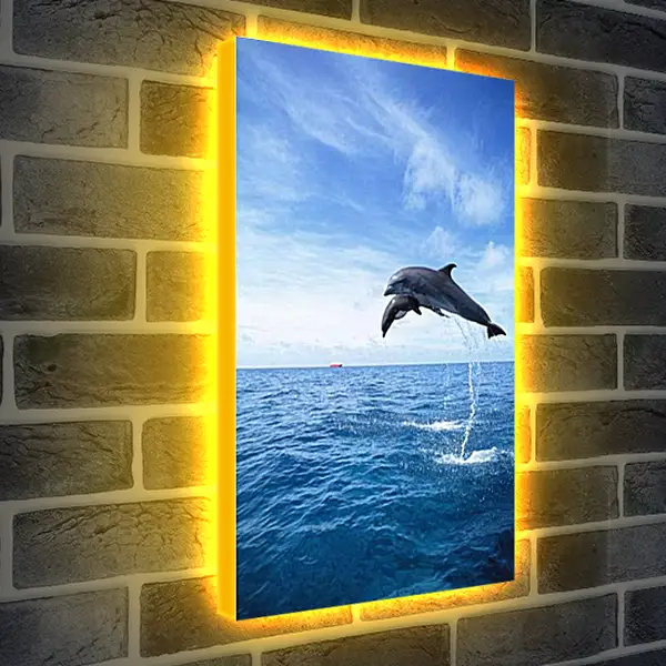 Лайтбокс световая панель - Дельфины