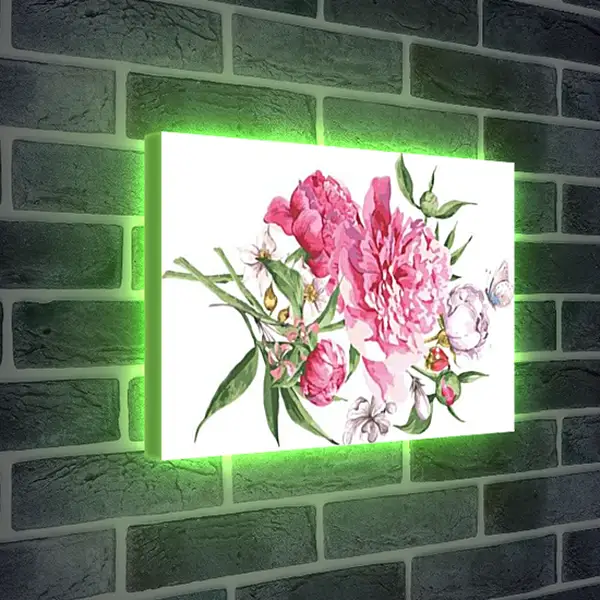 Лайтбокс световая панель - Пионы