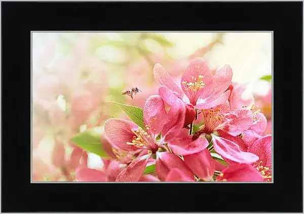 Картина в раме - Весна