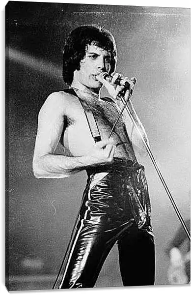 Постер на подрамнике - Фреди на сцене