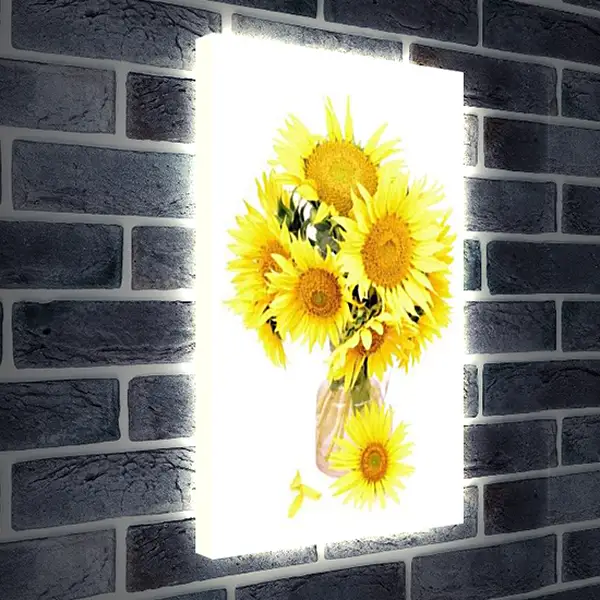 Лайтбокс световая панель - Подсолнухи