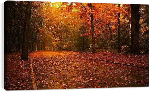 Постер на подрамнике - Осень