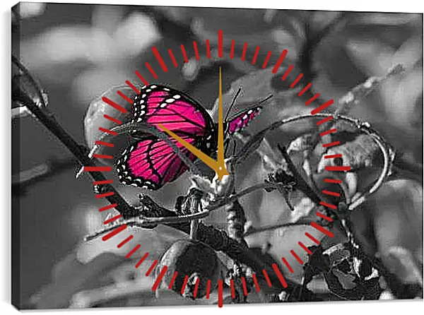 Часы картина - Бабочка