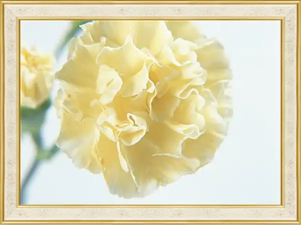 Картина в раме - Цветы