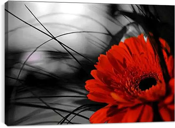 Постер на подрамнике - Красный цветок