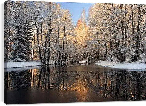 Постер на подрамнике - Немного снега в лесу